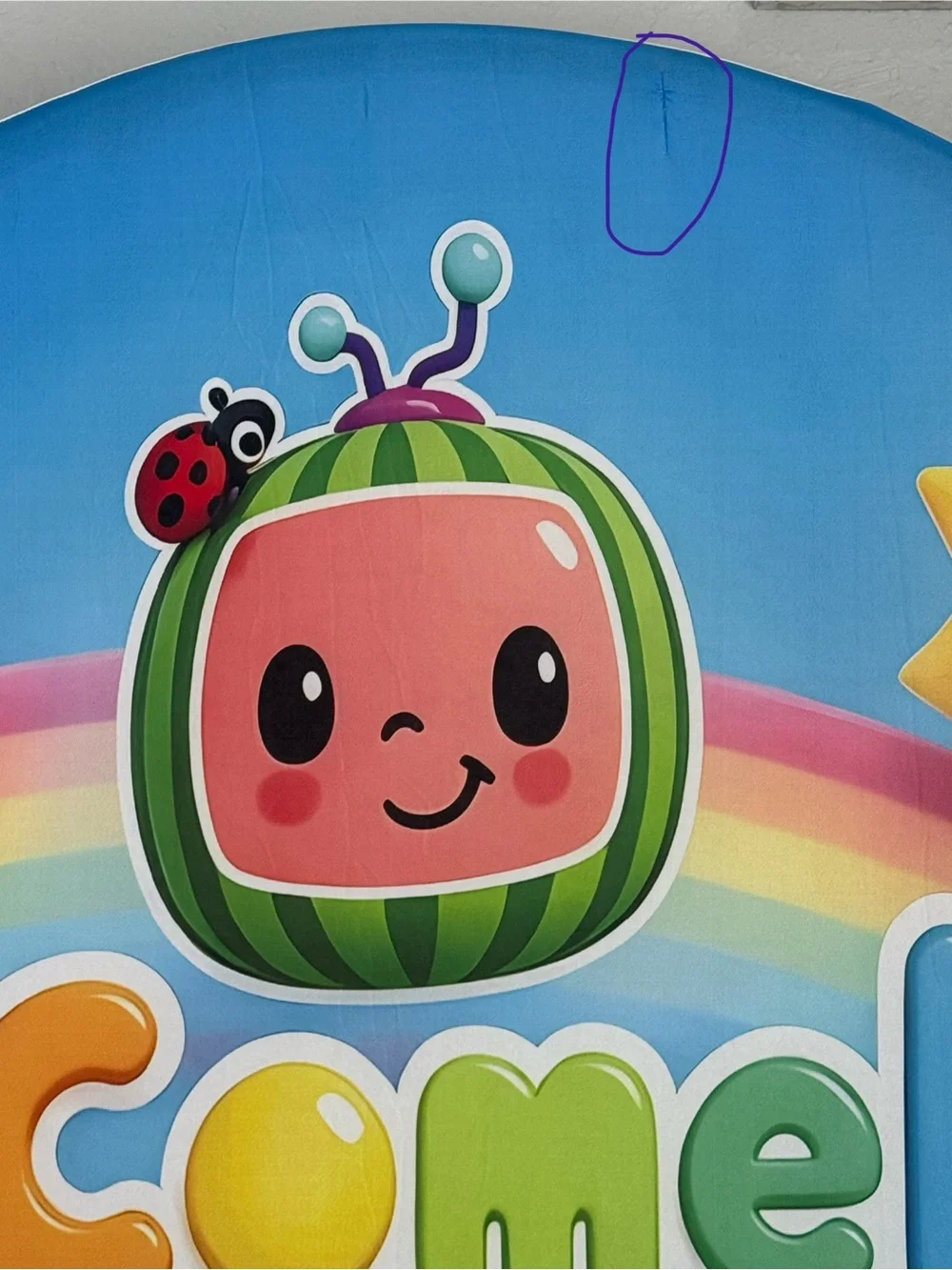 Cocomelon Arch Backdrop Cover (Read Description)